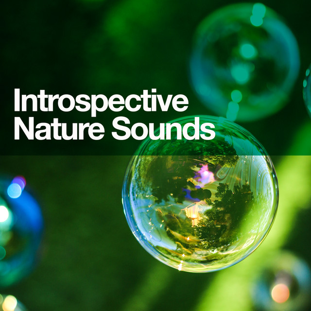 Introspective Nature Sounds cover art