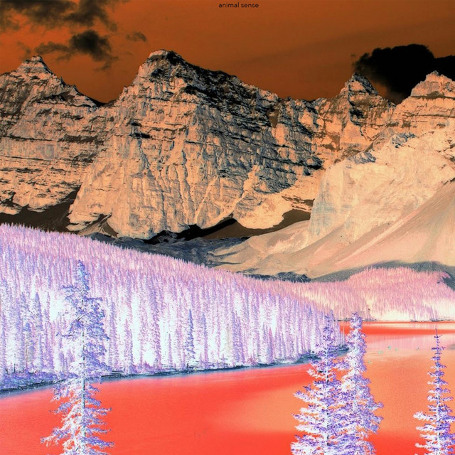 Animal Sense cover art