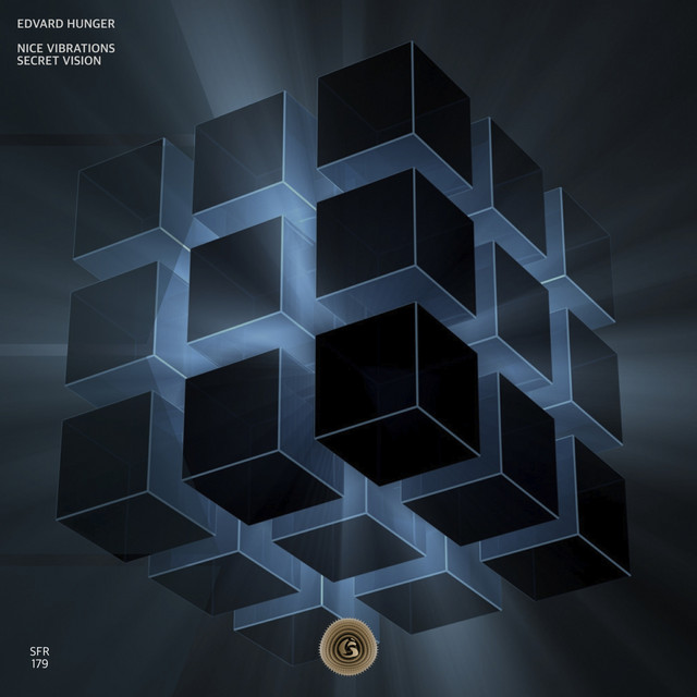 Nice Vibrations album art