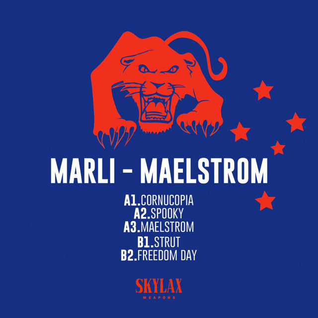 Maelstrom cover art
