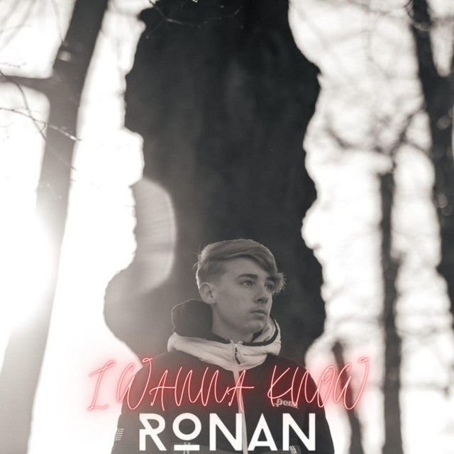 I Wanna Know - song and lyrics by RONAN | Spotify