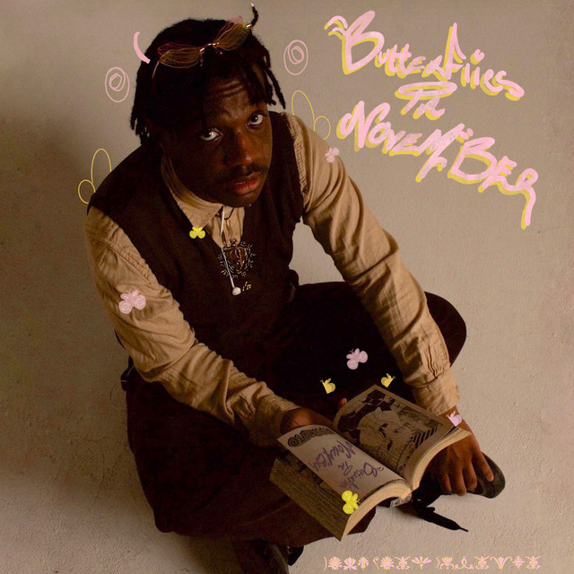 Butterflies in November cover art
