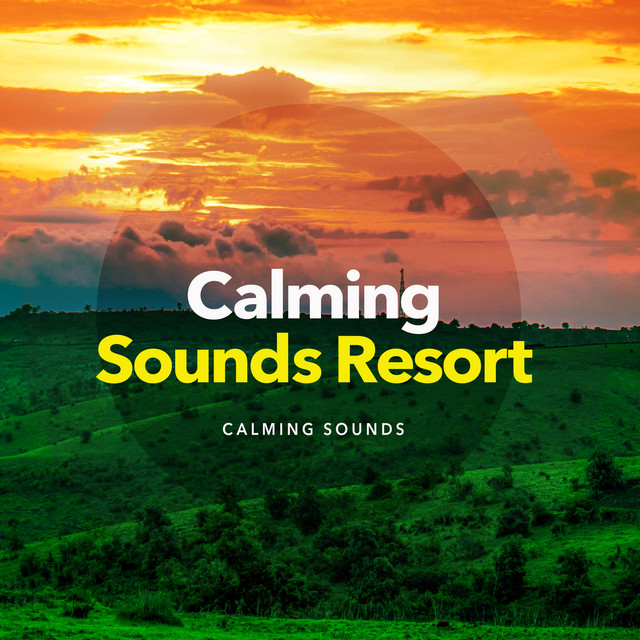 Soothing Water - song and lyrics by Calming Sounds | Spotify