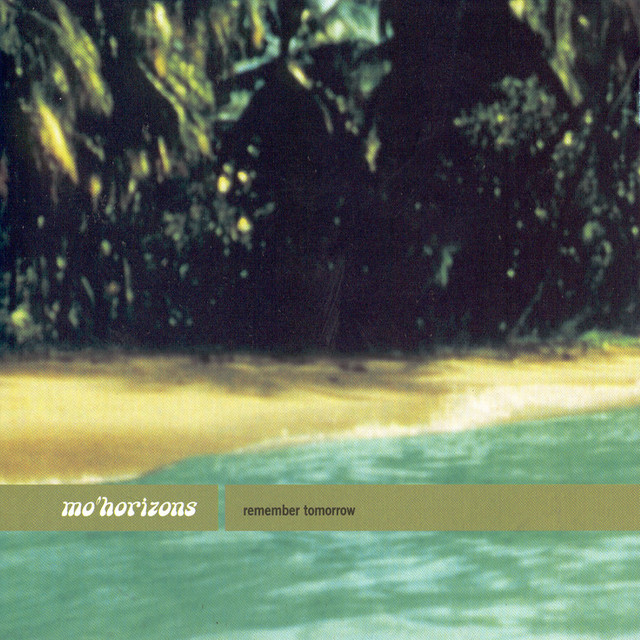 Dance Naked Under Palmtrees - Mo' Horizons