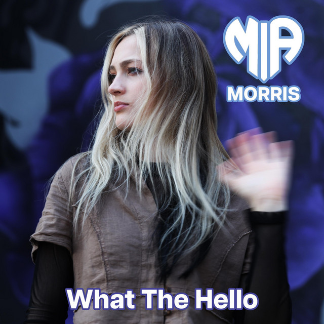 What The Hello cover