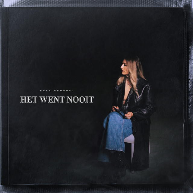 Het Went Nooit cover art