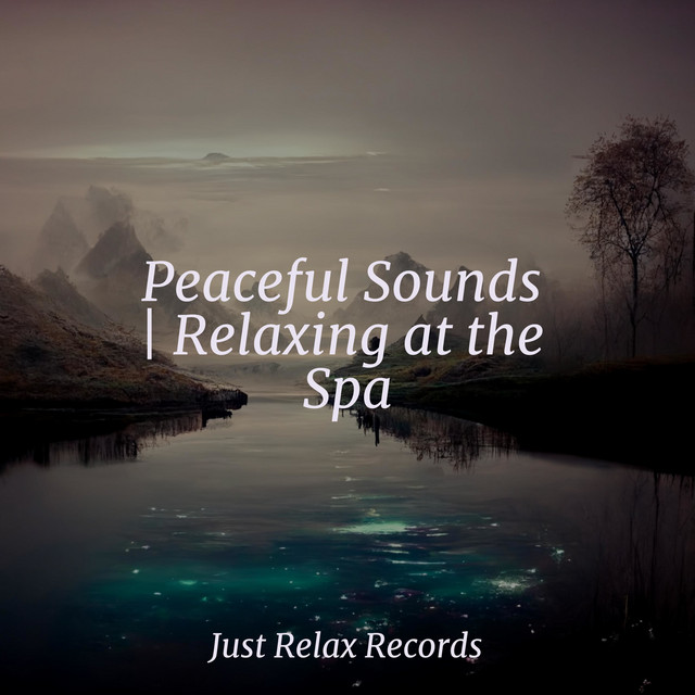 Peaceful Sounds | Relaxing at the Spa - Album by Meditation | Spotify