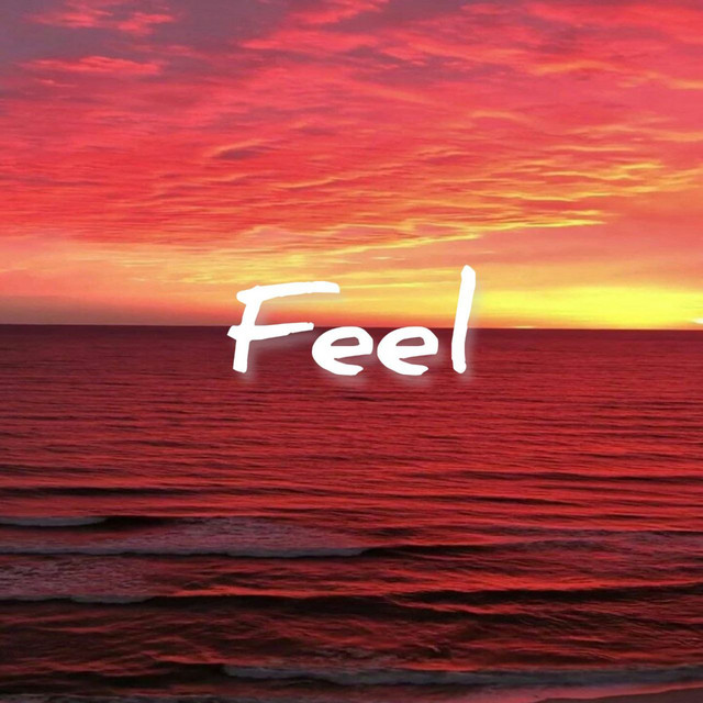 Обкладинка: Feel — nononoManerz