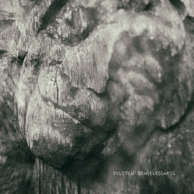 Senselessness cover