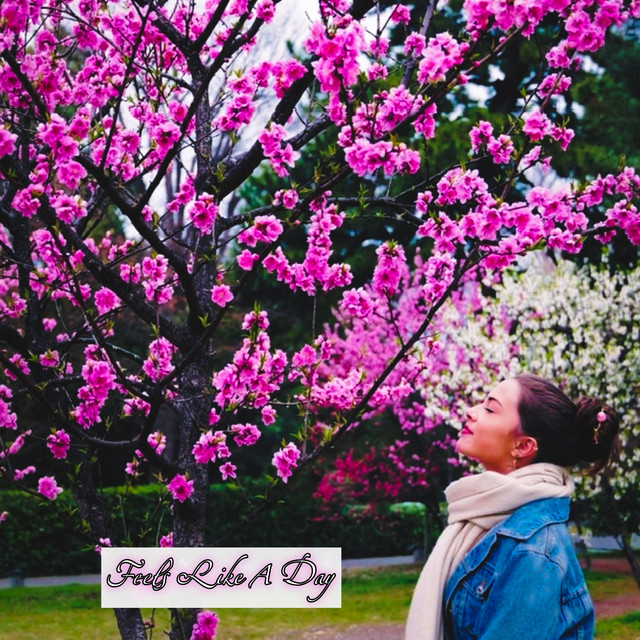 Feels Like a Day