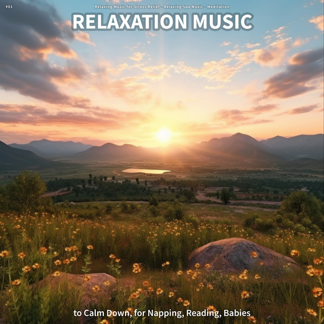 Relaxation Music - song and lyrics by Relaxing Music for Stress Relief ...