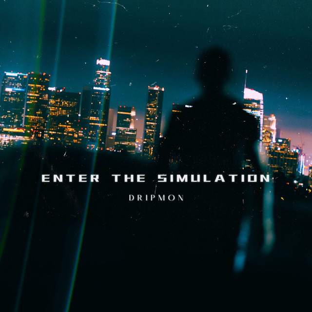 Enter the Simulation cover art