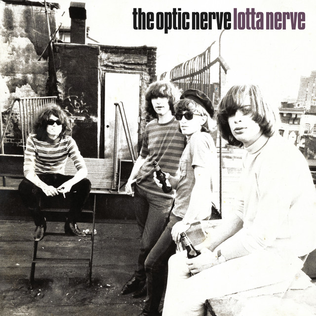 Lotta Nerve cover
