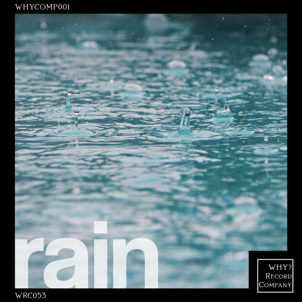 rain cover
