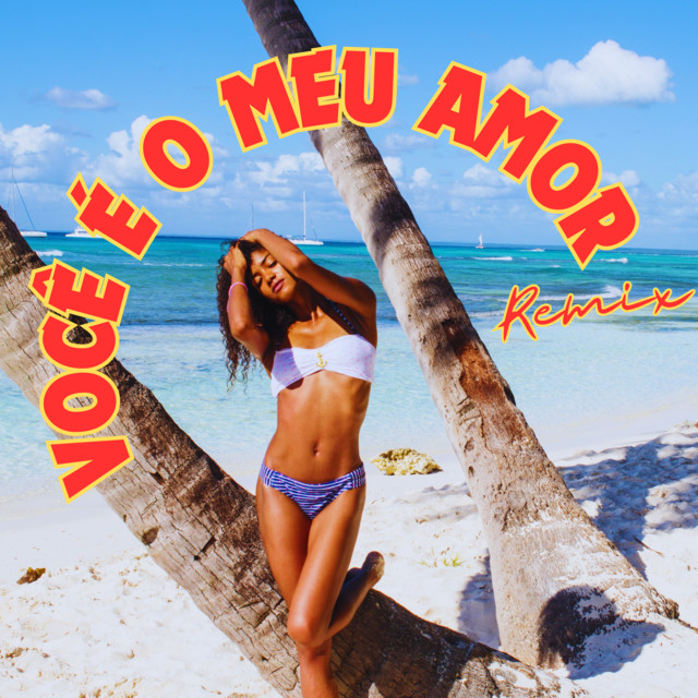 VOCÊ É O MEU AMOR (Remix) cover art