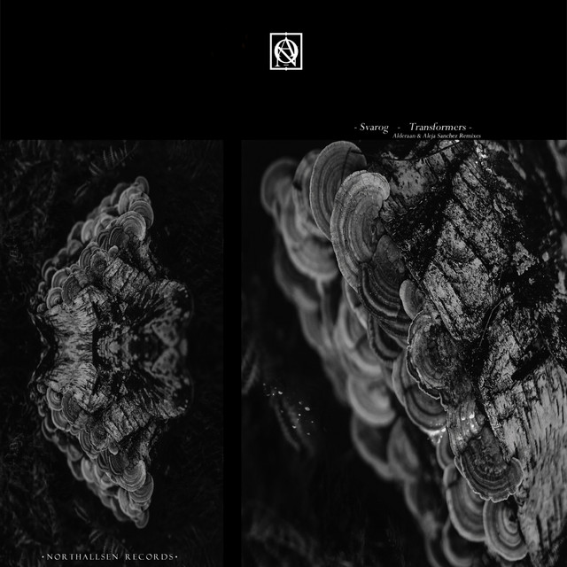 Обкладинка Svarog — Transformers