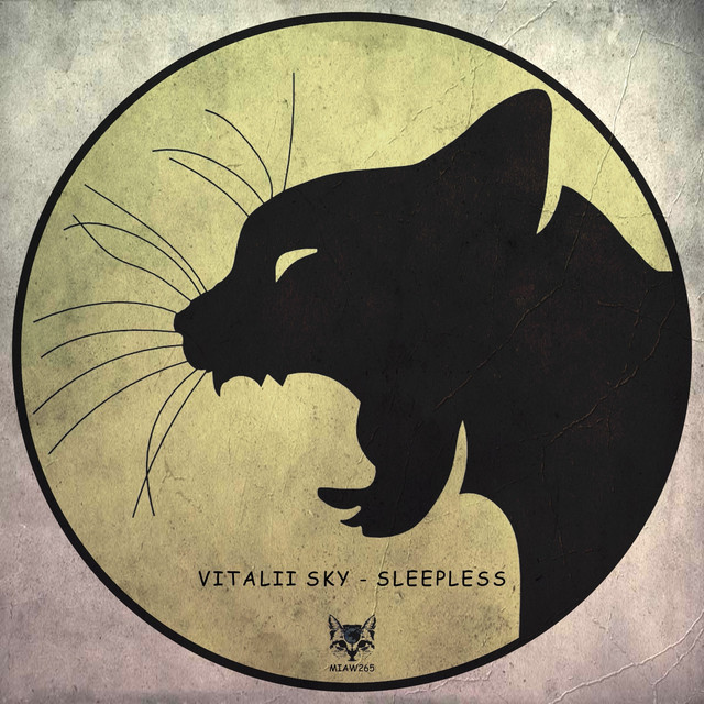 Обкладинка Vitalii Sky — Sleepless