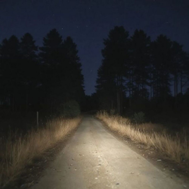 a time lapse of life cover art