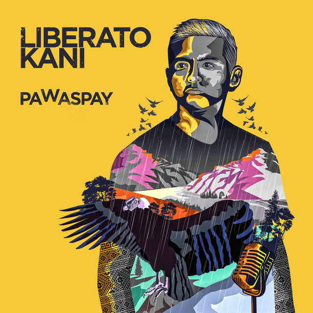 Pawaspay cover art