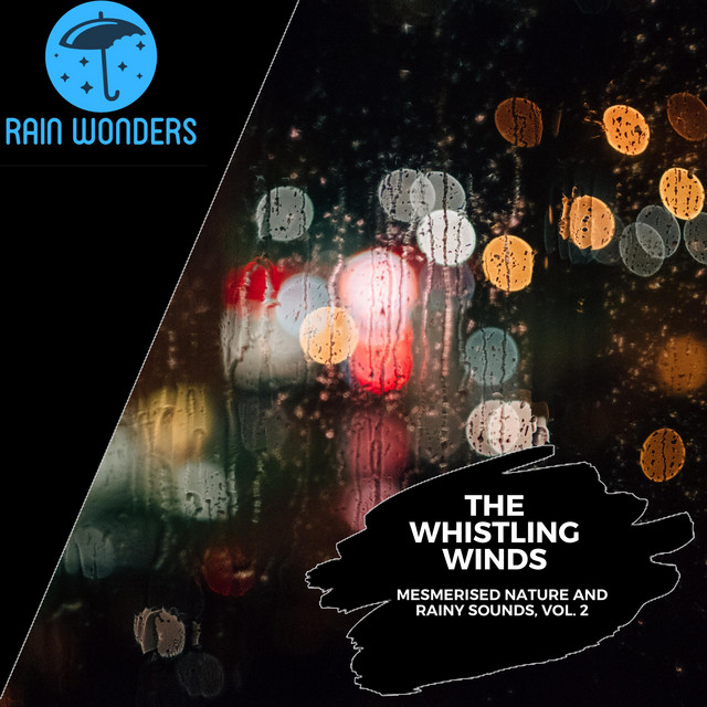 The Whistling Winds - Mesmerised Nature and Rainy Sounds, Vol. 2 cover art