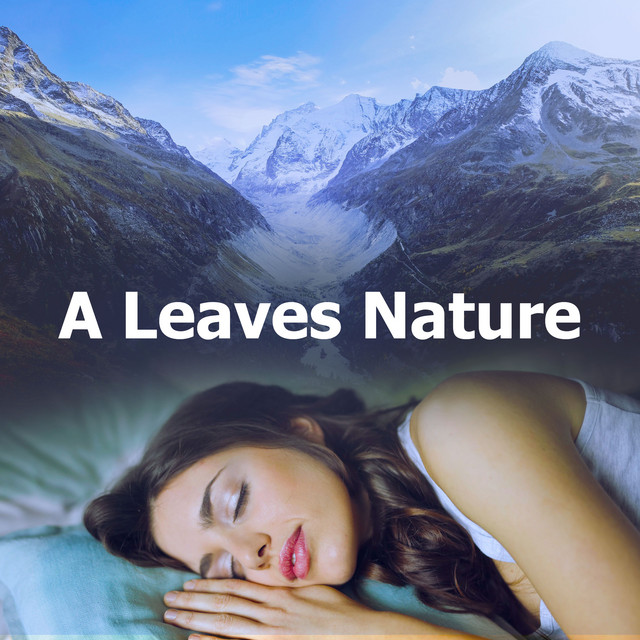 A Leaves Nature - Album by Nature Sounds for Relaxation and Sleep | Spotify