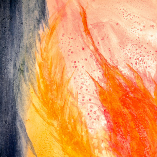 Fiji on Fire cover art
