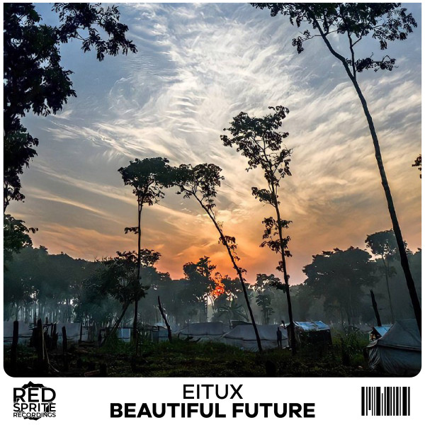 Beautiful Future cover art