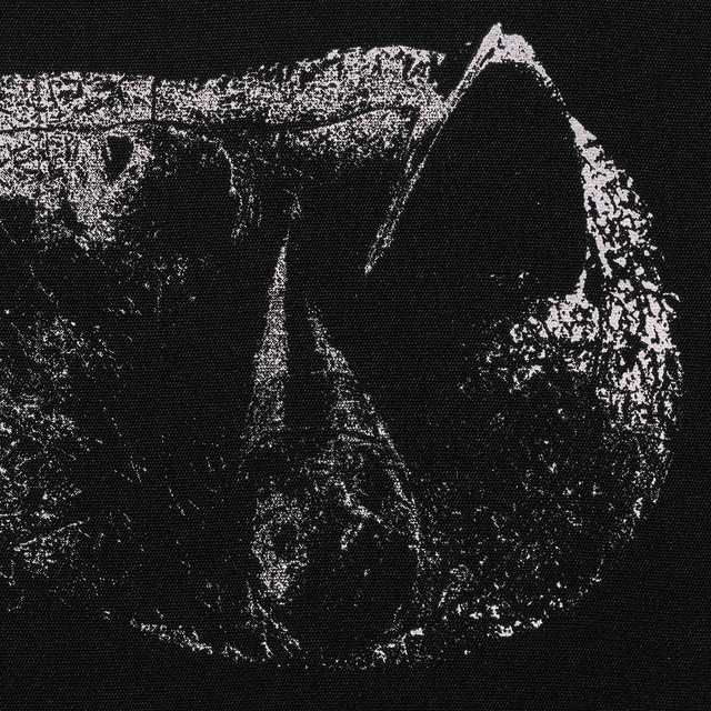Viscera cover art