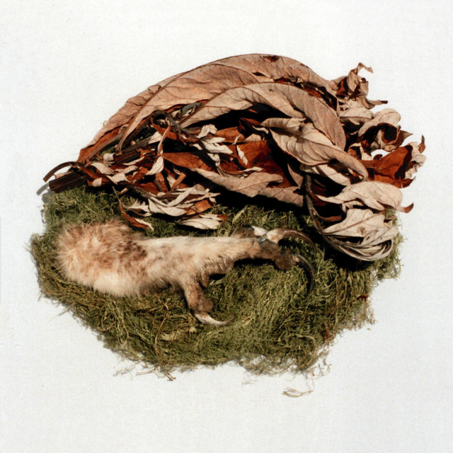 Offering cover art