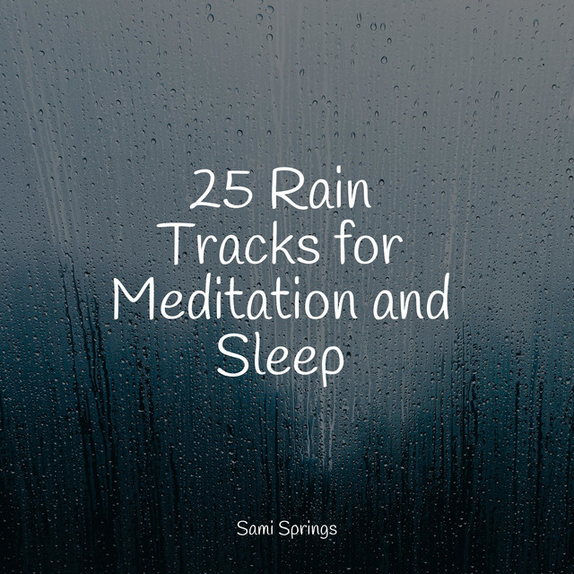 25 Rain Tracks for Meditation and Sleep - Album by Sounds Of Nature ...