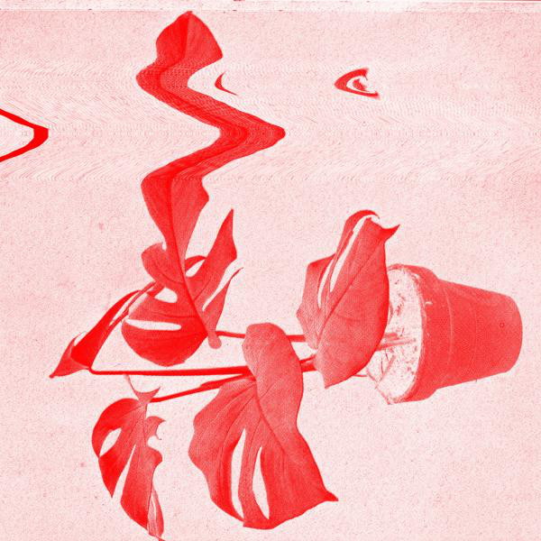 Split cover