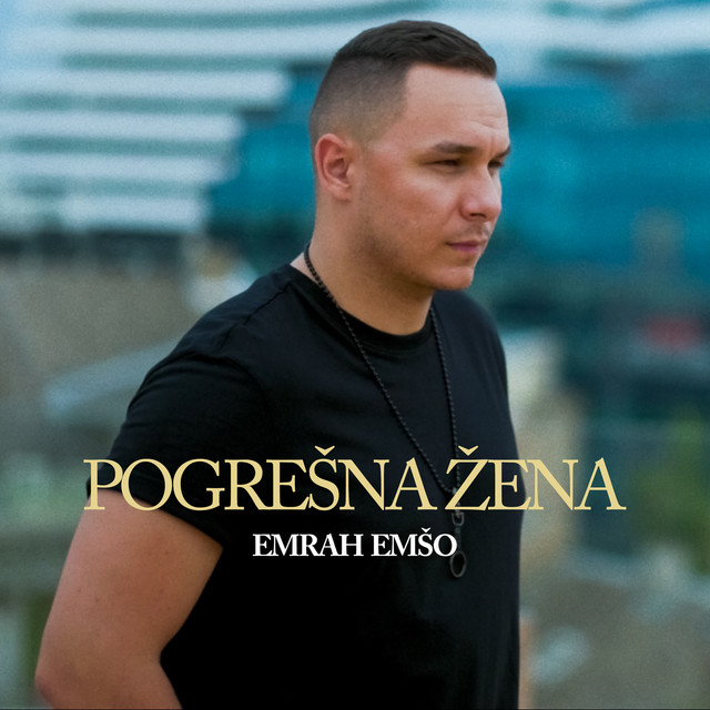 Pogresna zena cover