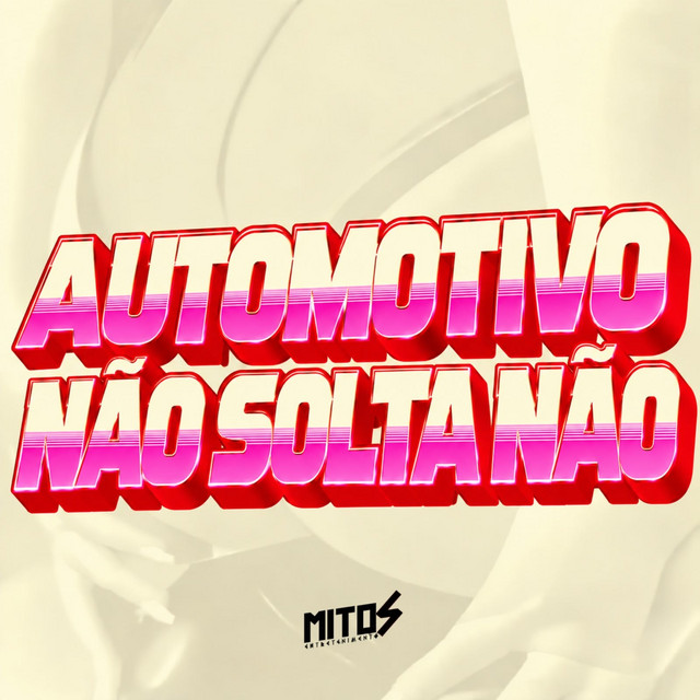 AUTOMOTIVO NÃO SOLTA NÃO