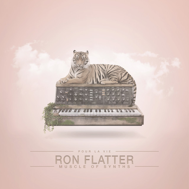 Muscle of Synths cover art
