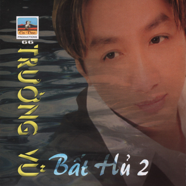 Trường Vũ Bất Hủ 2 cover art