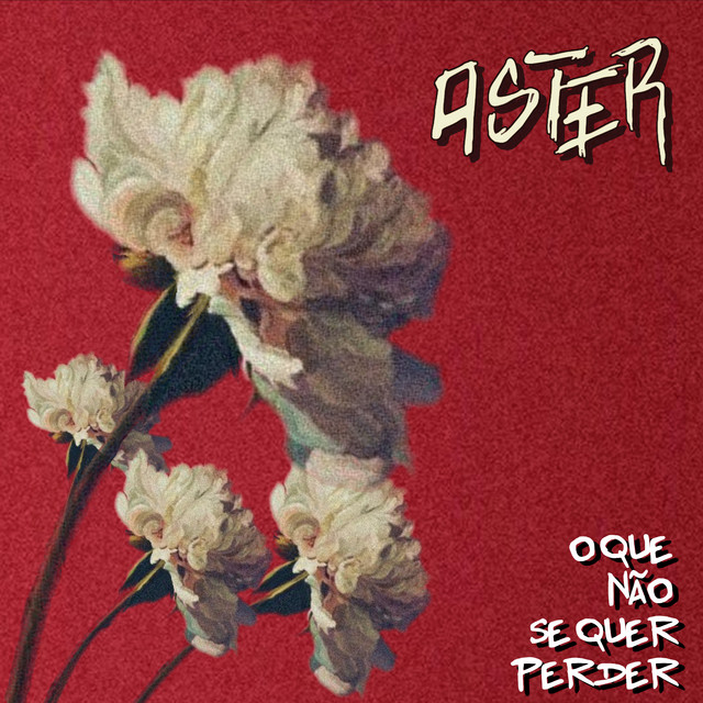 O Que Não Se Quer Perder cover art