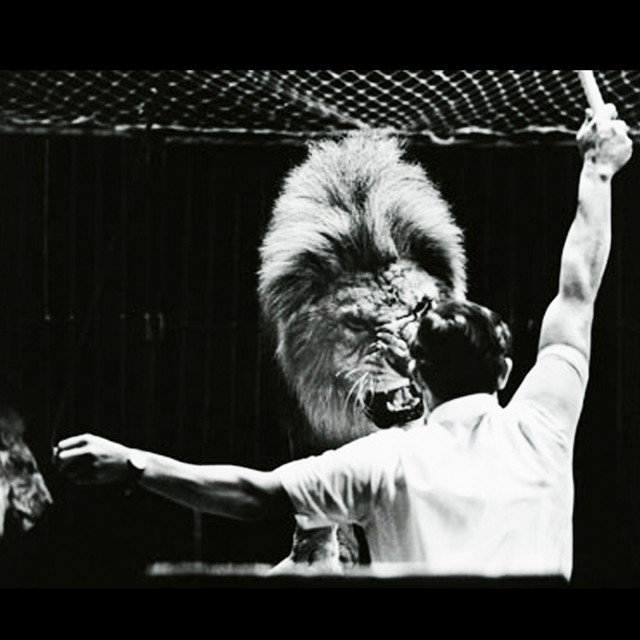 How to Tame Lions cover art