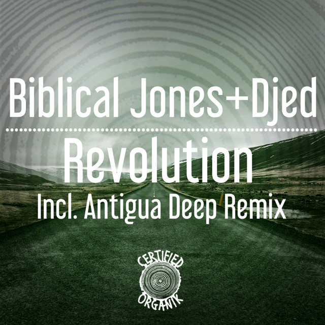 Revolution - Antigua Deep Remix cover art