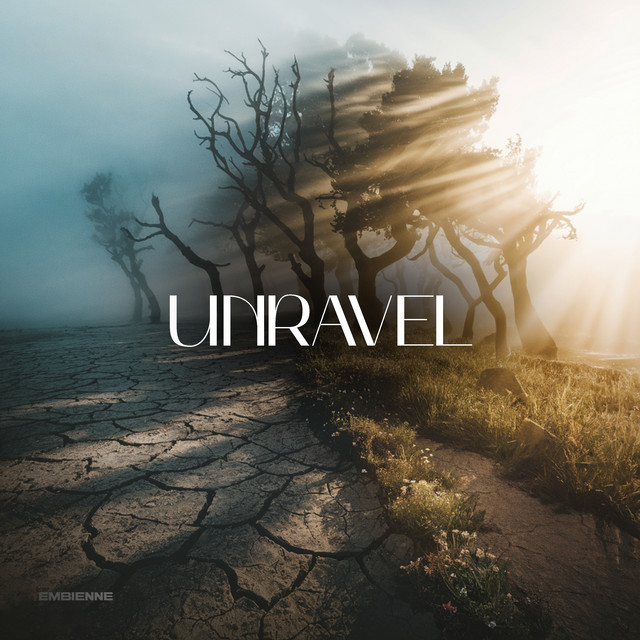 Обкладинка Embienne — Unravel
