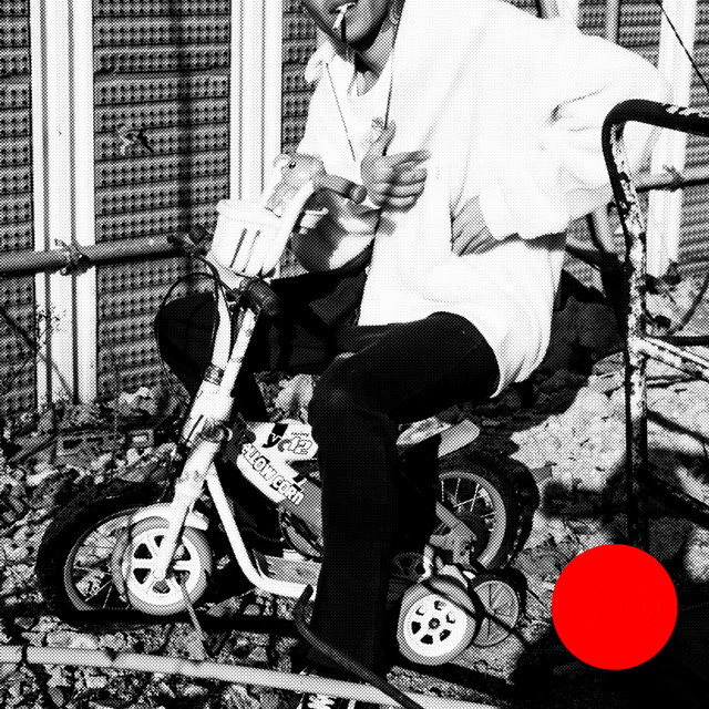 Dog cover art