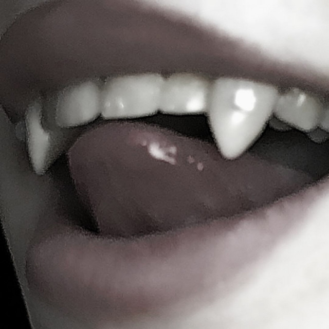 take a bite cover art