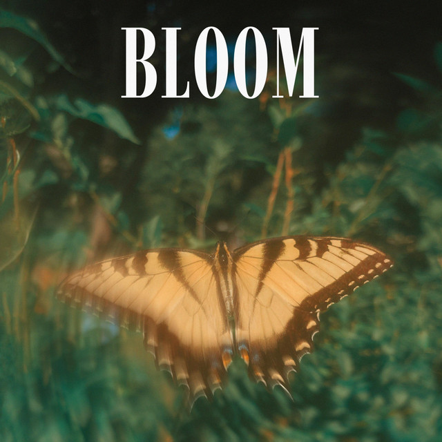 Bloom cover