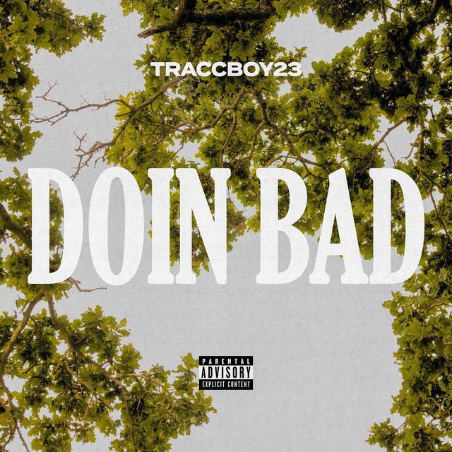 Doin Bad cover art