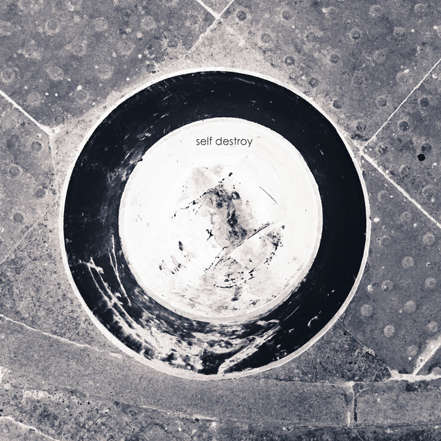 Self Destroy cover art