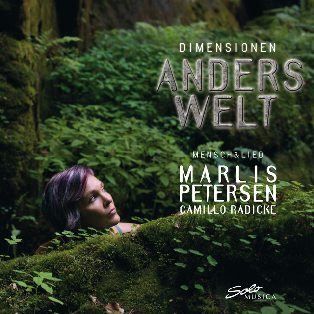 Dimensionen: Anderswelt cover art