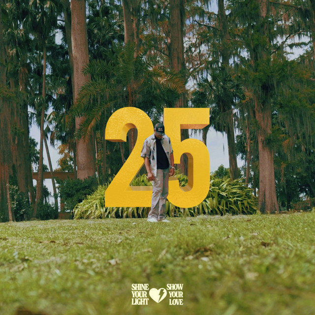 25 cover art