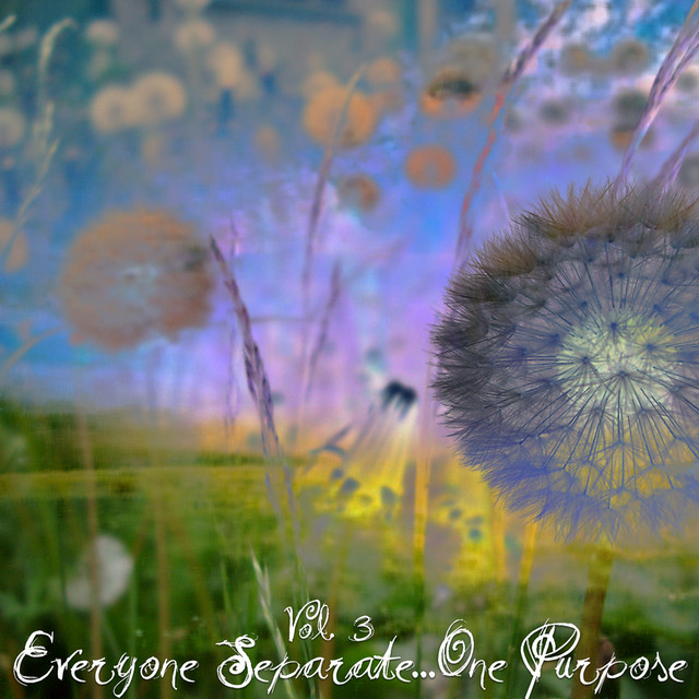 Everyone Separate... One Purpose Vol 3 cover