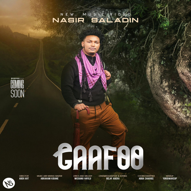 GAAFOO NS cover art