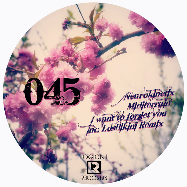 I Want To Forget You cover