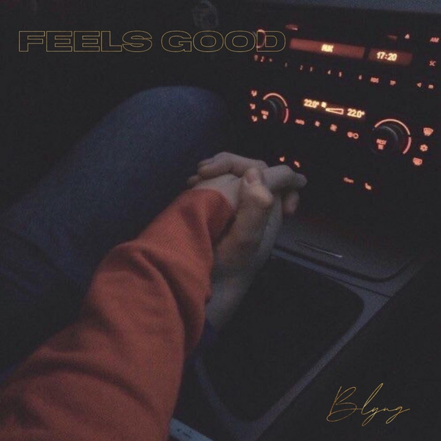 Feels Good - Single by Brandon Lyng | Spotify